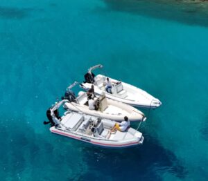 εικόνα_Viber_2025-12-16_10-35-12-706